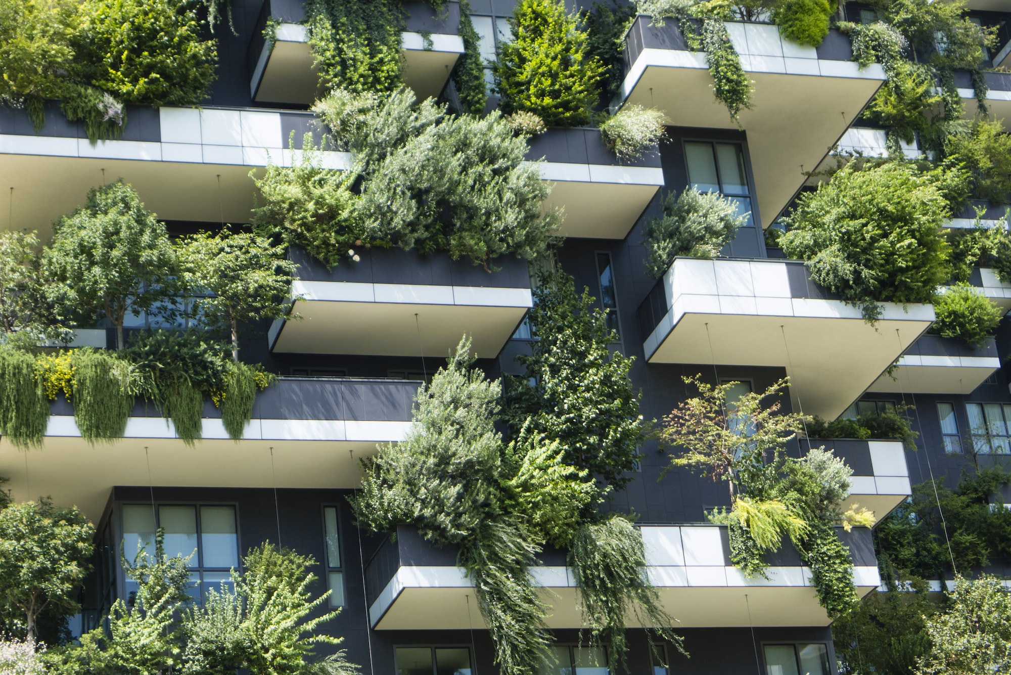 The Vertical Wood buildings in Milan.